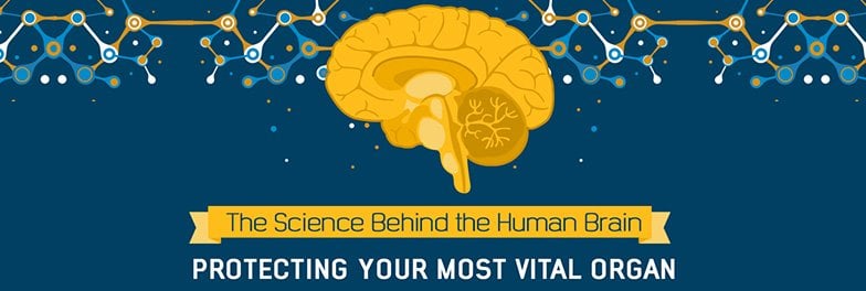 The Science Behind the Human Brain
