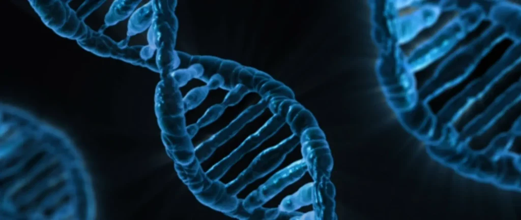 How to Transfer From Biomedical Science to Medicine How to Transfer From Biomedical Science to Medicine